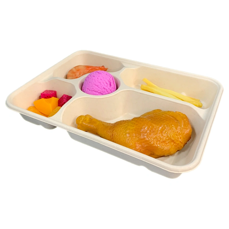 5Compartment Biodegradable Bagasse Takeaway Tray